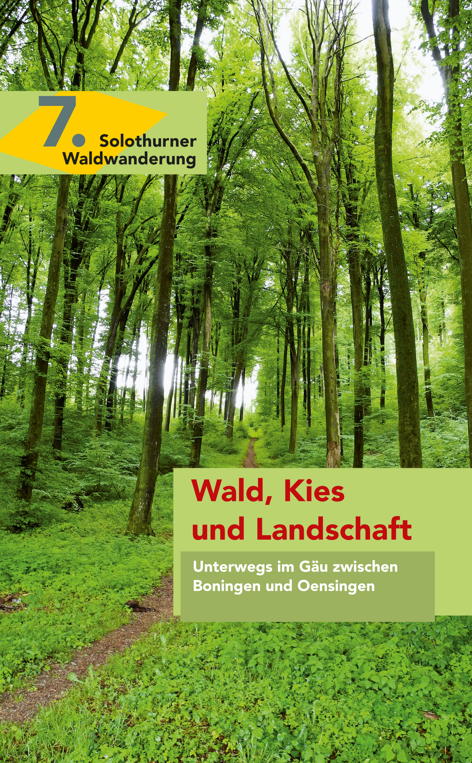 7. Wald, Kies und Landschaft