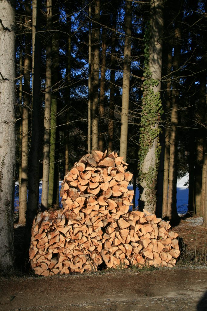 Brennholz im Bündel (Weinfelden) 2