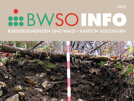 BWSo-Info_1-2022_Titelblatt