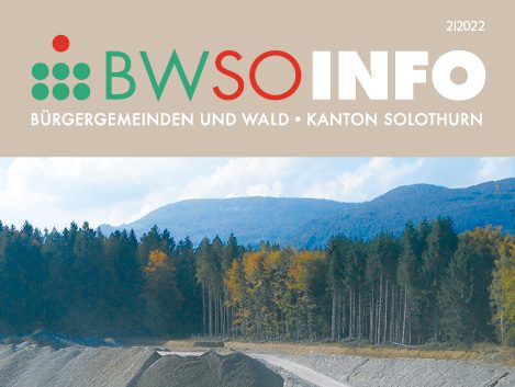 BWSo-Info_2-2022 Titelblatt