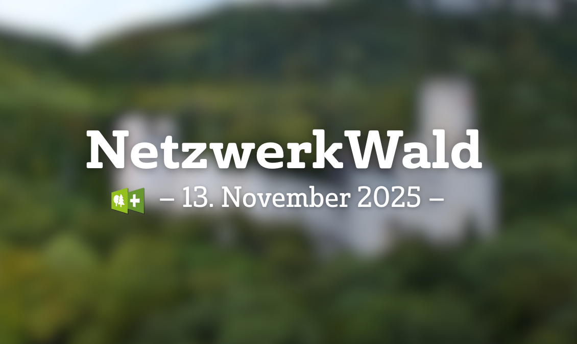 Netzwerkwald-banner.8c3a5b42